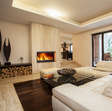 Woodfire Evo 30