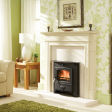 Aarrow Ecoburn 7 insert stove