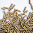 Pellet Stoves