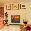Woodfire 18i contemporary insert boiler stove