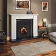 FDC 5i insert stove