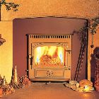 Clearview vision insert stove